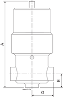 VALVE LKAPS-T W 30 NBR 316L